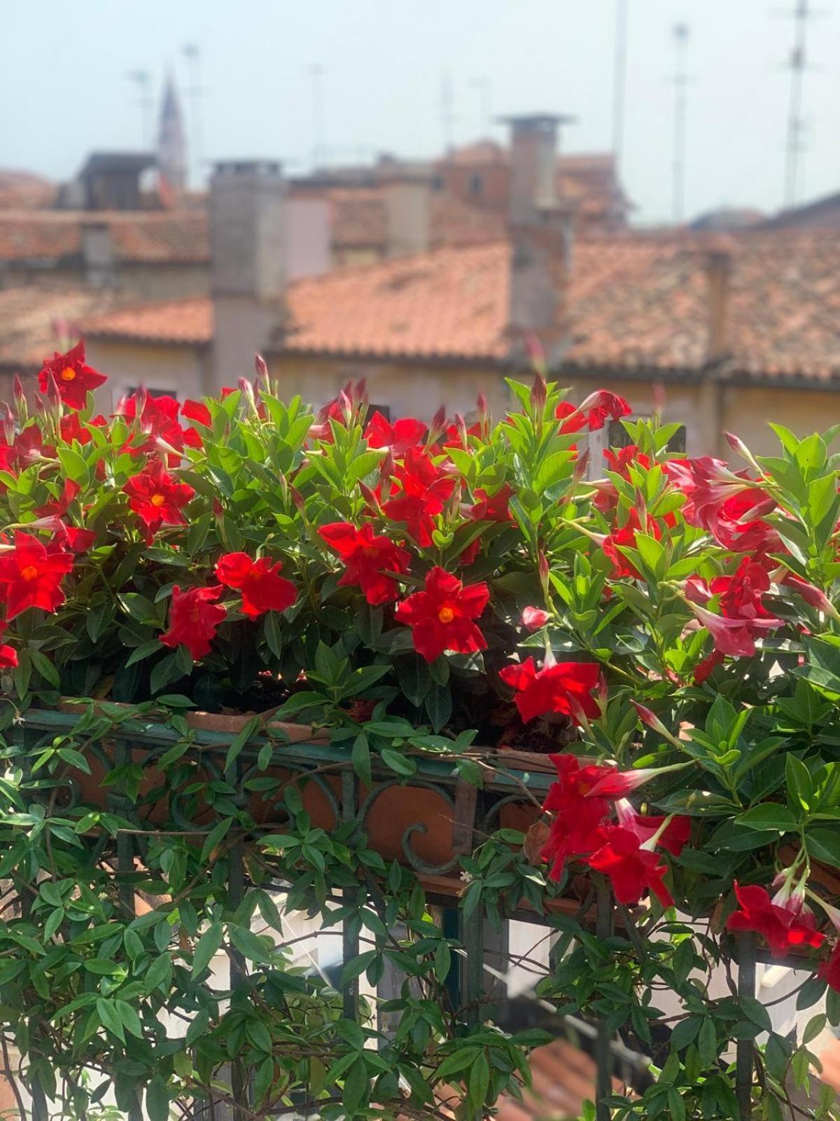 Elegant Terrace Near Piazza San Marco Last Floor No Lift Apartment *